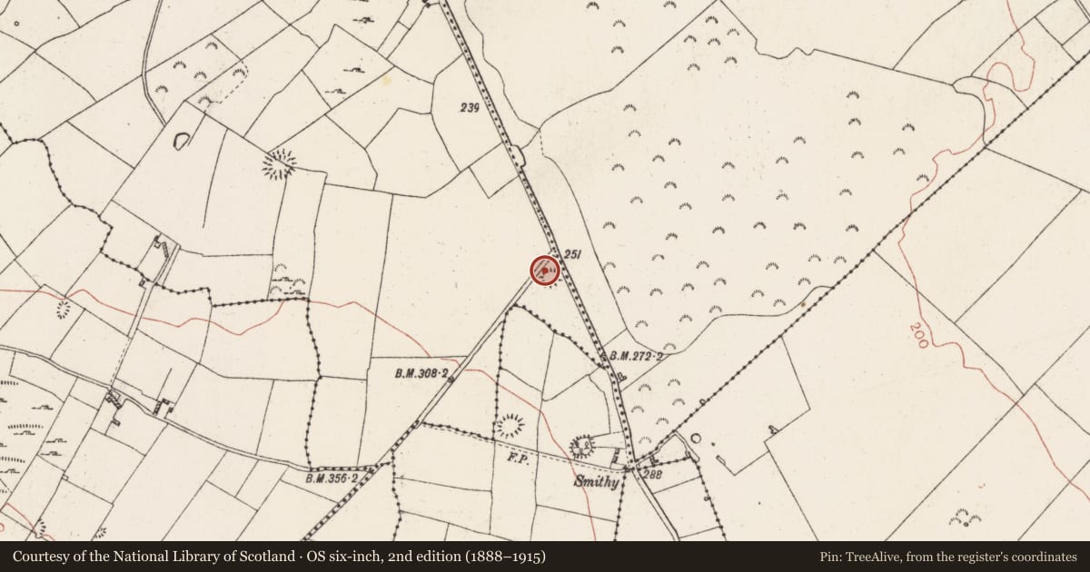 Ordnance Survey six-inch map, 2nd edition (1888–1915) covering the location of Ringfort - rath, Carrigan More, County Roscommon, with a pin at the register's coordinates
