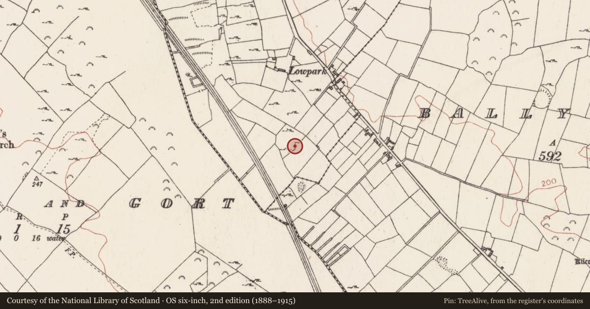 Ordnance Survey six-inch map, 2nd edition (1888–1915) covering the location of Enclosure, Binmuck, County Roscommon, with a pin at the register's coordinates