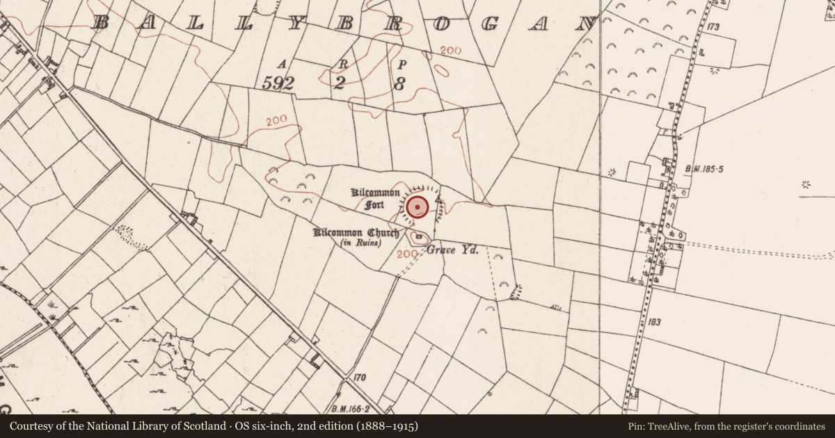 Ordnance Survey six-inch map, 2nd edition (1888–1915) covering the location of Enclosure - large enclosure, Ballybrogan, County Roscommon, with a pin at the register's coordinates