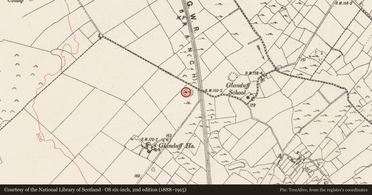 Ordnance Survey six-inch map, 2nd edition (1888–1915) covering the location of Ringfort - rath, Carnagh West, County Roscommon, with a pin at the register's coordinates