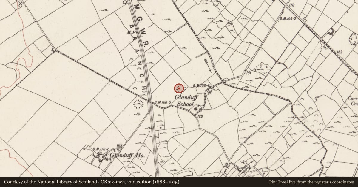 Ordnance Survey six-inch map, 2nd edition (1888–1915) covering the location of Ringfort - rath, Killiaghan And Gort, County Roscommon, with a pin at the register's coordinates
