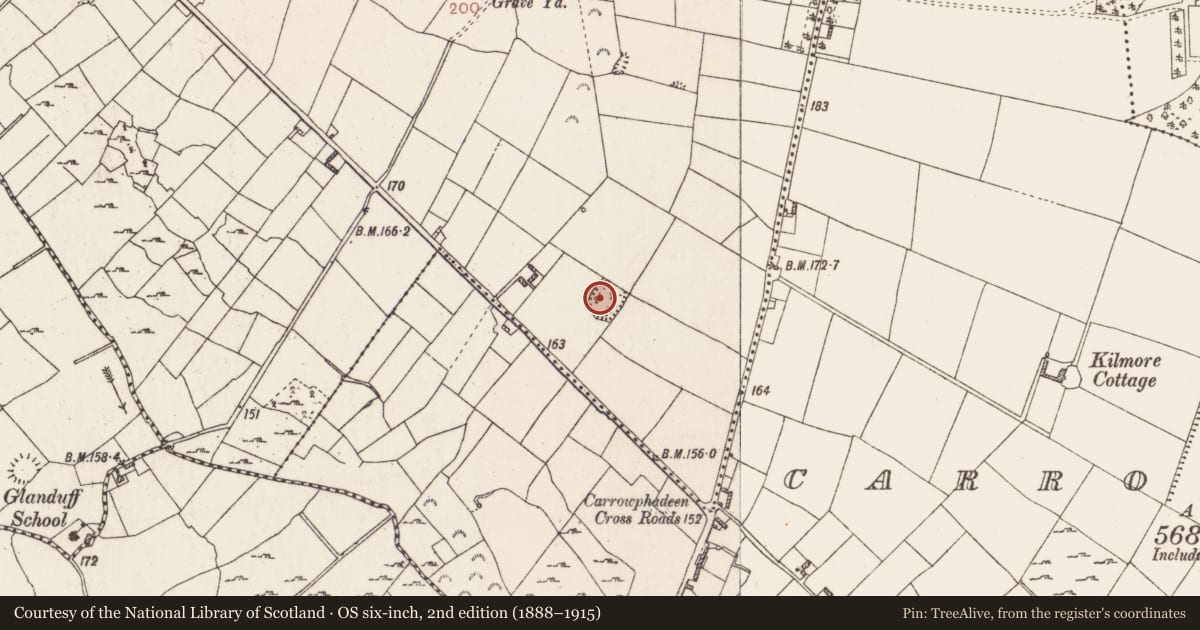 Ordnance Survey six-inch map, 2nd edition (1888–1915) covering the location of Ringfort - rath, Ballybrogan, County Roscommon, with a pin at the register's coordinates