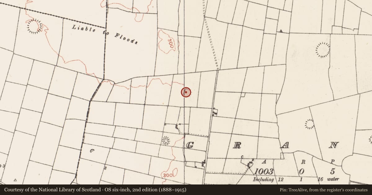 Ordnance Survey six-inch map, 2nd edition (1888–1915) covering the location of Ringfort - rath, Grange, County Roscommon, with a pin at the register's coordinates