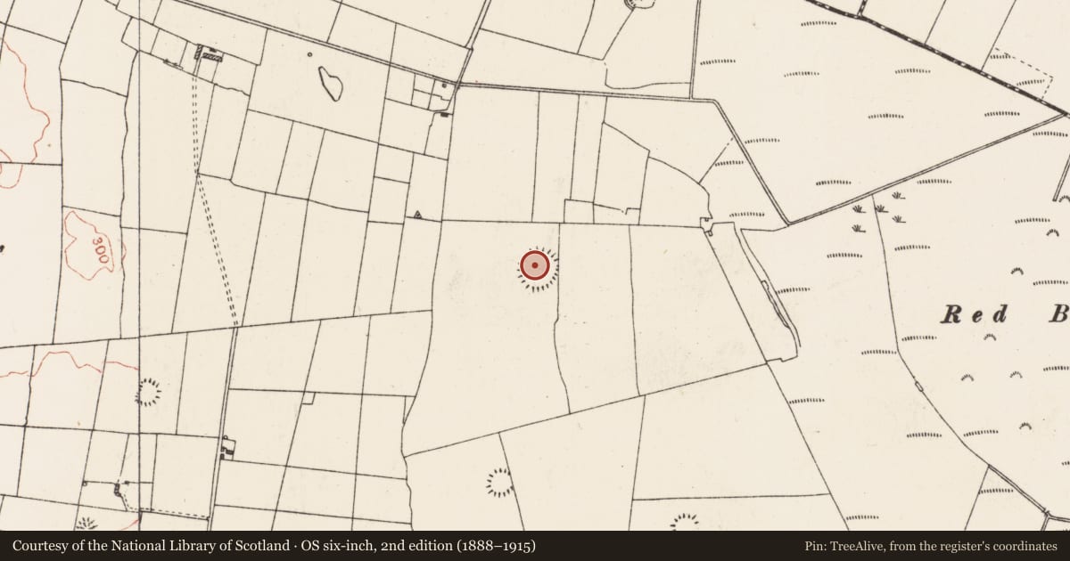 Ordnance Survey six-inch map, 2nd edition (1888–1915) covering the location of Ringfort - rath, Grange, County Roscommon, with a pin at the register's coordinates