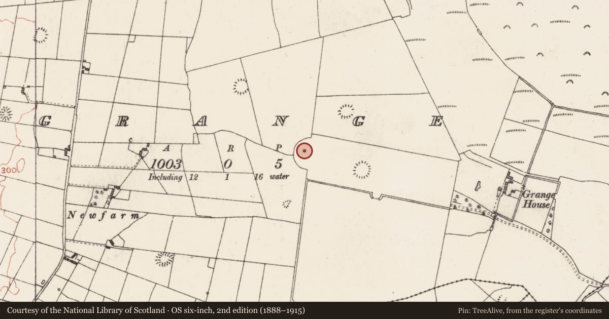 Ordnance Survey six-inch map, 2nd edition (1888–1915) covering the location of Barrow - mound barrow, Grange, County Roscommon, with a pin at the register's coordinates