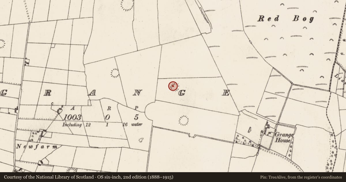 Ordnance Survey six-inch map, 2nd edition (1888–1915) covering the location of Ringfort - rath, Grange, County Roscommon, with a pin at the register's coordinates