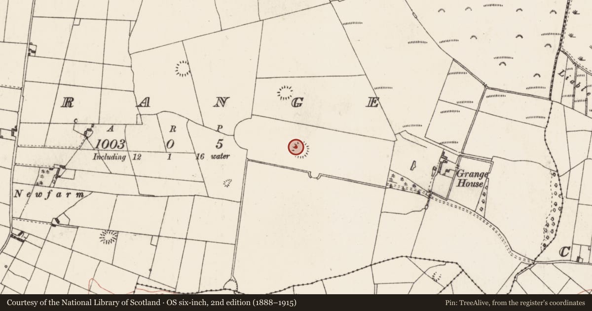 Ordnance Survey six-inch map, 2nd edition (1888–1915) covering the location of Ringfort - rath, Grange, County Roscommon, with a pin at the register's coordinates