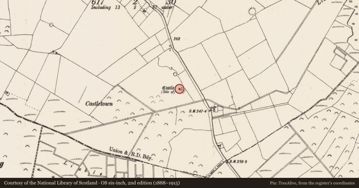 Ordnance Survey six-inch map, 2nd edition (1888–1915) covering the location of Castle - unclassified, Rahara, County Roscommon, with a pin at the register's coordinates