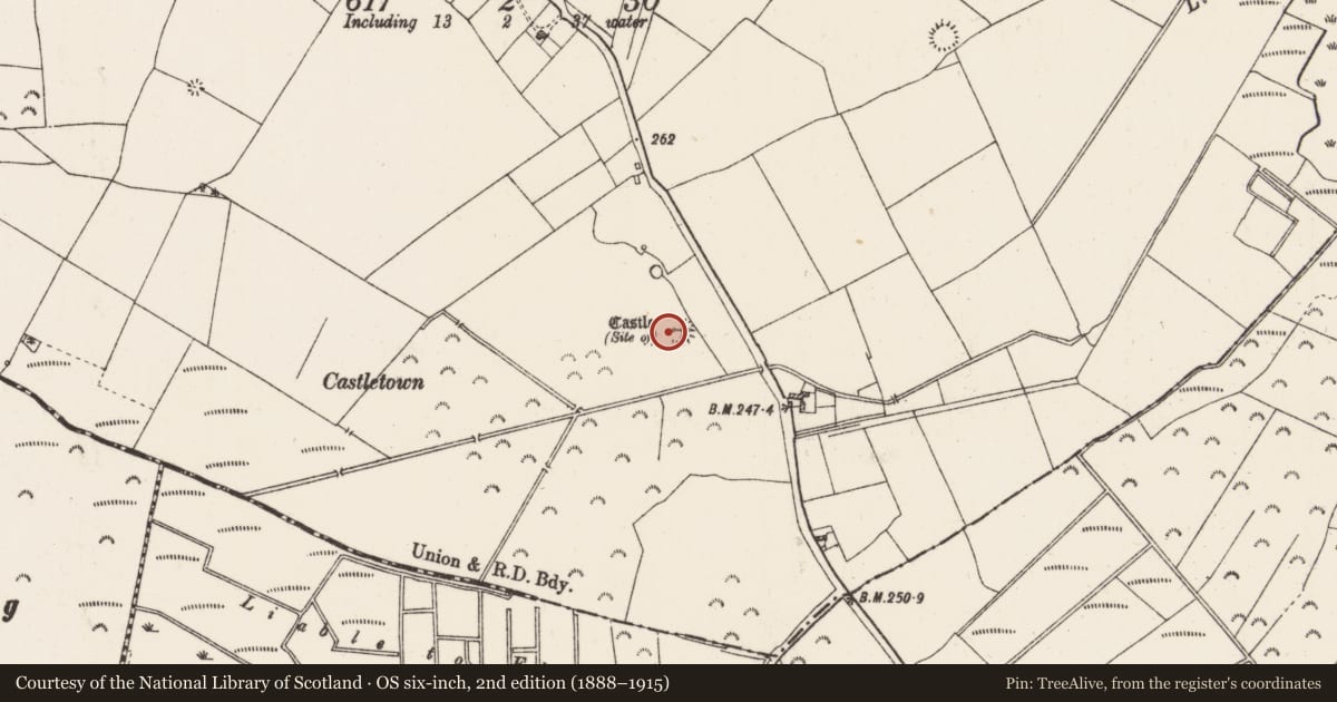 Ordnance Survey six-inch map, 2nd edition (1888–1915) covering the location of Standing stone, Rahara, County Roscommon, with a pin at the register's coordinates
