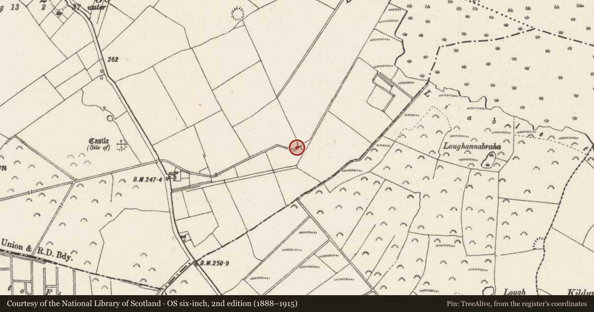 Ordnance Survey six-inch map, 2nd edition (1888–1915) covering the location of Mill - unclassified, Rahara, County Roscommon, with a pin at the register's coordinates