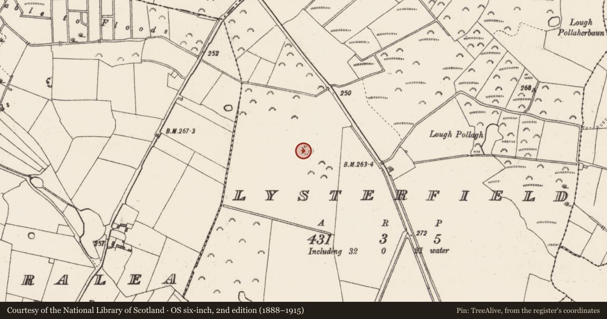 Ordnance Survey six-inch map, 2nd edition (1888–1915) covering the location of House - indeterminate date, Lysterfield, County Roscommon, with a pin at the register's coordinates