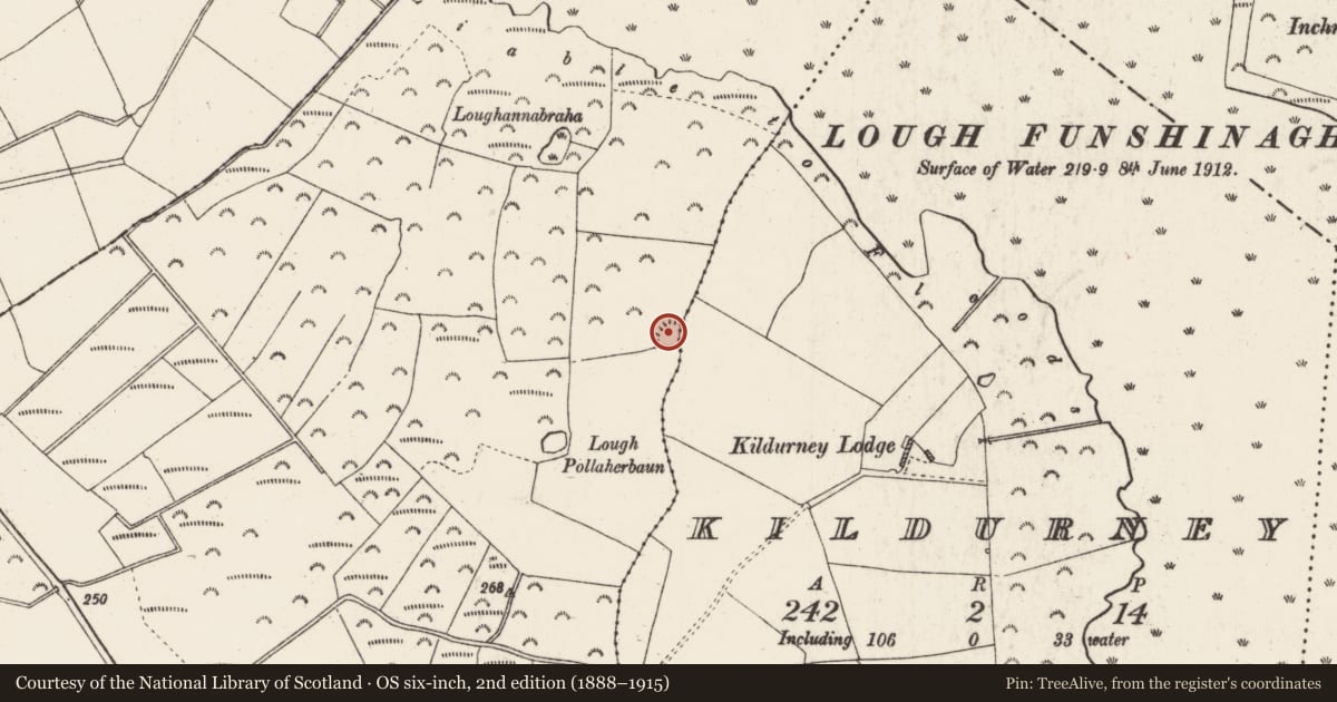 Ordnance Survey six-inch map, 2nd edition (1888–1915) covering the location of Ringfort - rath, Kildurney, Lysterfield, County Roscommon, with a pin at the register's coordinates