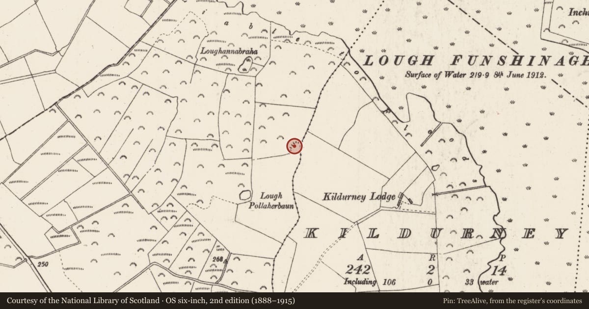 Ordnance Survey six-inch map, 2nd edition (1888–1915) covering the location of Children's burial ground, Kildurney, Lysterfield, County Roscommon, with a pin at the register's coordinates