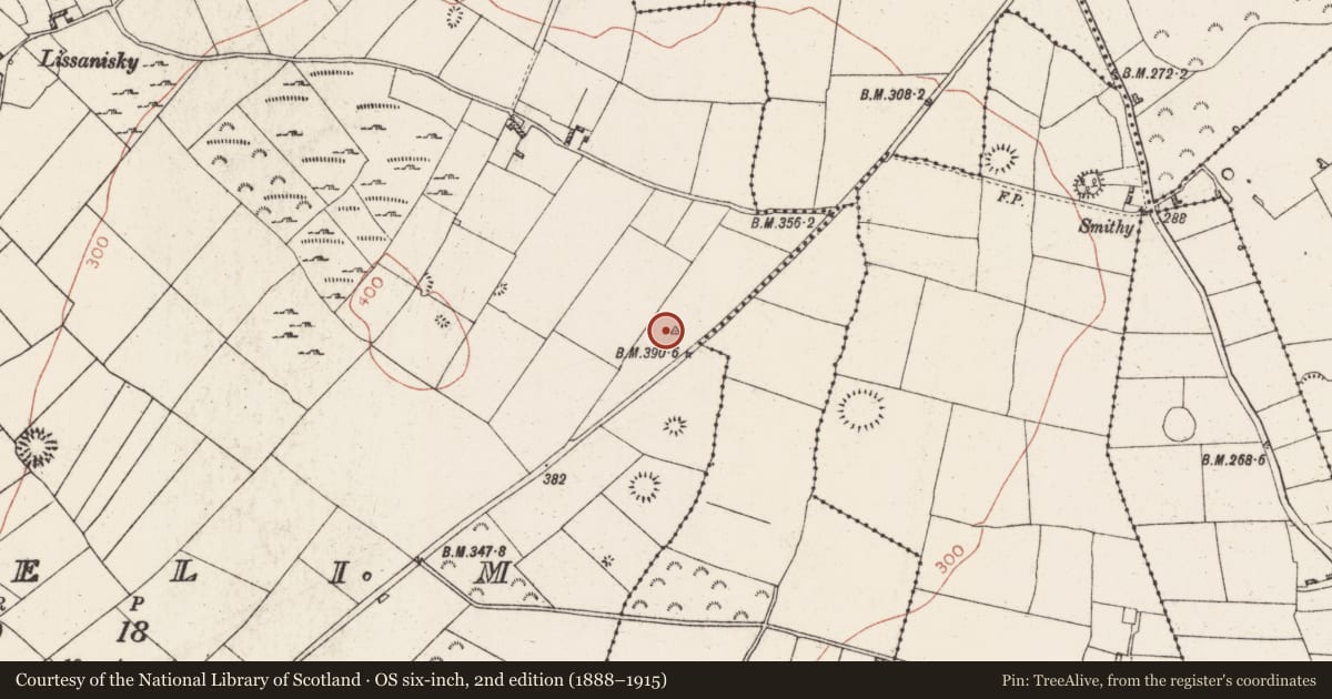 Ordnance Survey six-inch map, 2nd edition (1888–1915) covering the location of Barrow - mound barrow, Lisfelim, County Roscommon, with a pin at the register's coordinates