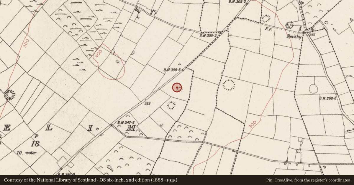 Ordnance Survey six-inch map, 2nd edition (1888–1915) covering the location of Barrow - ditch barrow, Lisfelim, County Roscommon, with a pin at the register's coordinates