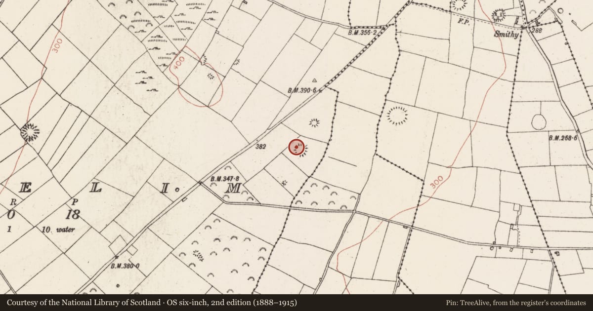 Ordnance Survey six-inch map, 2nd edition (1888–1915) covering the location of Ringfort - rath, Lisfelim, County Roscommon, with a pin at the register's coordinates