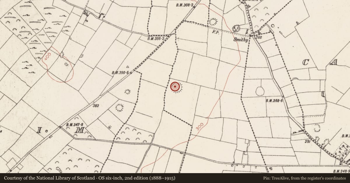 Ordnance Survey six-inch map, 2nd edition (1888–1915) covering the location of Ringfort - rath, Bredagh, County Roscommon, with a pin at the register's coordinates