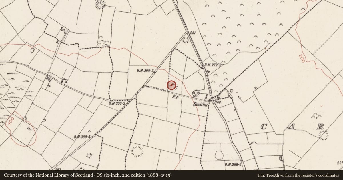 Ordnance Survey six-inch map, 2nd edition (1888–1915) covering the location of Ringfort - rath, Bredagh, County Roscommon, with a pin at the register's coordinates