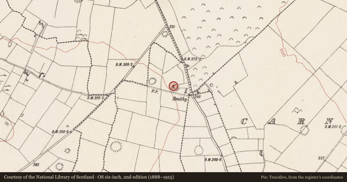 Ordnance Survey six-inch map, 2nd edition (1888–1915) covering the location of Ringfort - rath, Bredagh, County Roscommon, with a pin at the register's coordinates