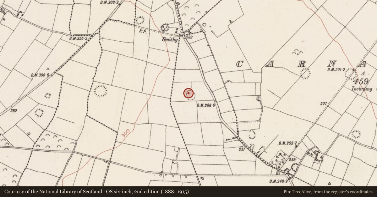 Ordnance Survey six-inch map, 2nd edition (1888–1915) covering the location of Ringfort - rath, Carrownderry, County Roscommon, with a pin at the register's coordinates