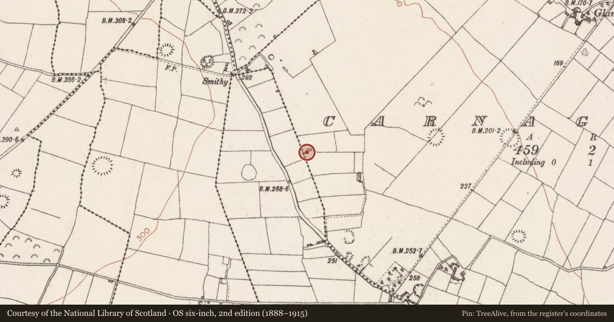 Ordnance Survey six-inch map, 2nd edition (1888–1915) covering the location of Ringfort - rath, Carnagh West, County Roscommon, with a pin at the register's coordinates