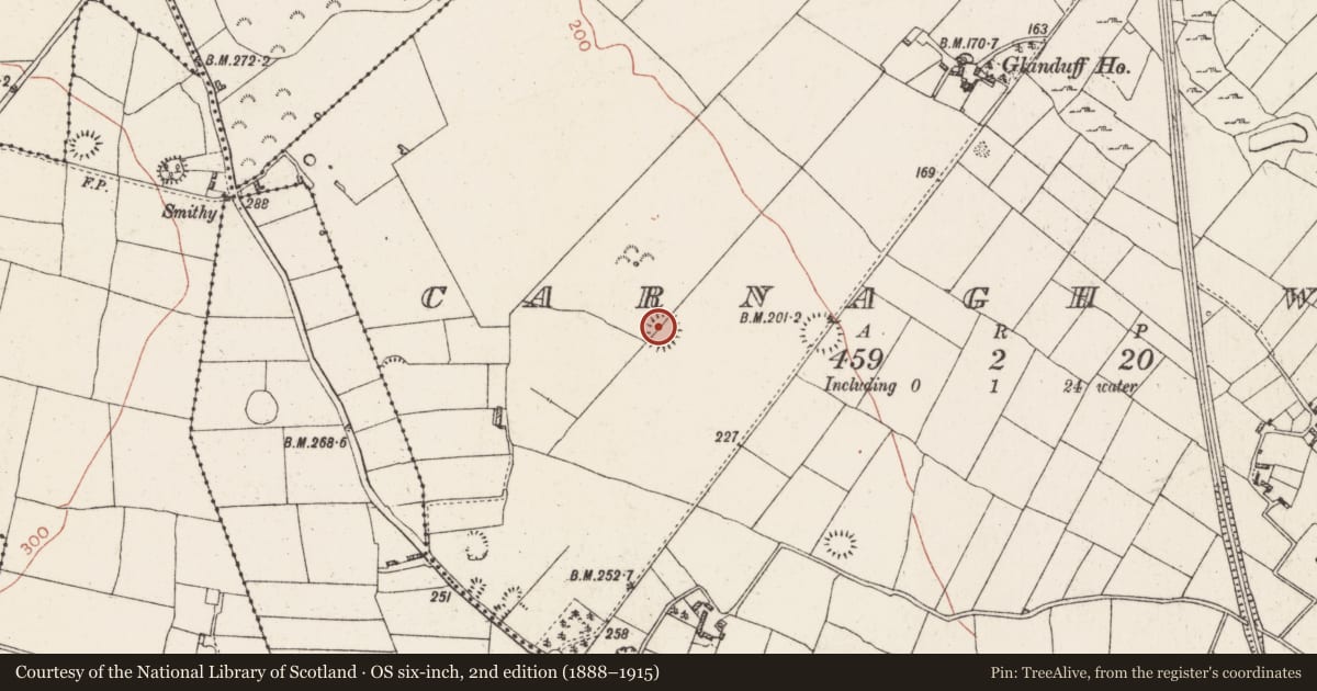 Ordnance Survey six-inch map, 2nd edition (1888–1915) covering the location of Ringfort - rath, Carnagh West, County Roscommon, with a pin at the register's coordinates