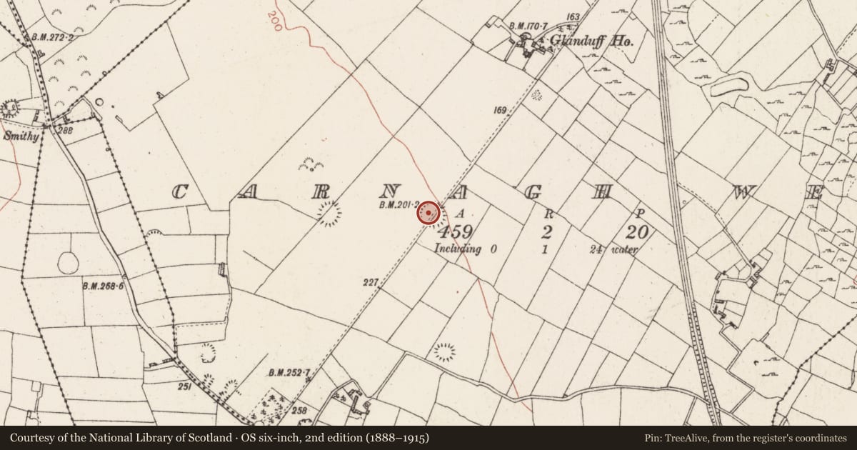 Ordnance Survey six-inch map, 2nd edition (1888–1915) covering the location of Ringfort - rath, Carnagh West, County Roscommon, with a pin at the register's coordinates
