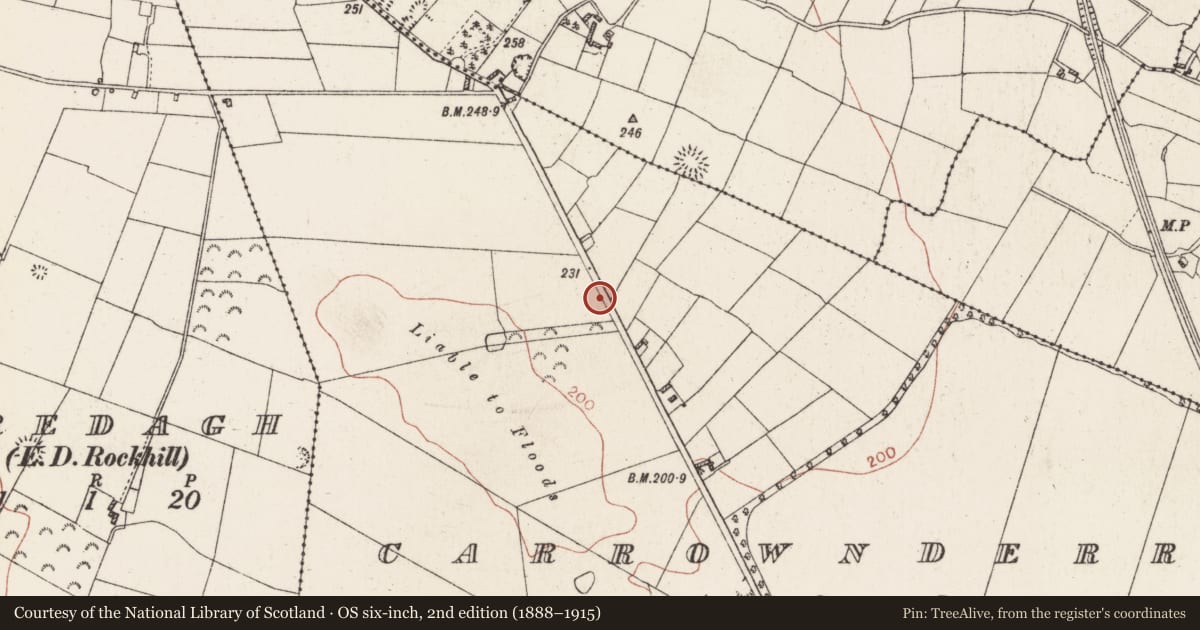 Ordnance Survey six-inch map, 2nd edition (1888–1915) covering the location of Ringfort - rath, Carrownderry, County Roscommon, with a pin at the register's coordinates