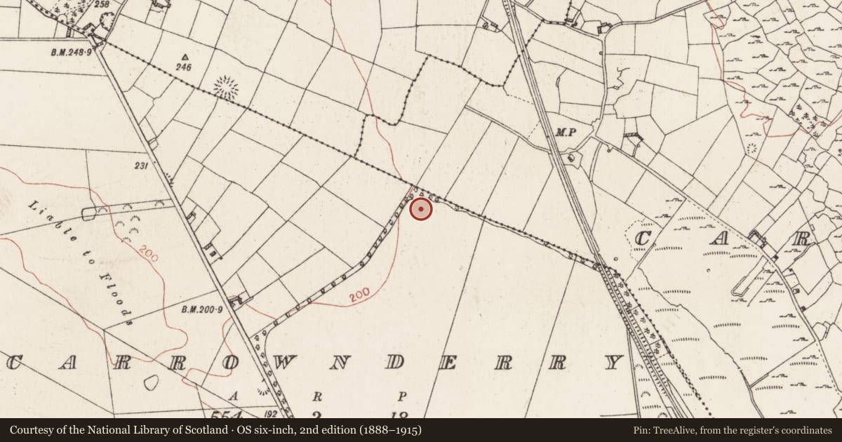Ordnance Survey six-inch map, 2nd edition (1888–1915) covering the location of Ringfort - rath, Carrownderry, County Roscommon, with a pin at the register's coordinates