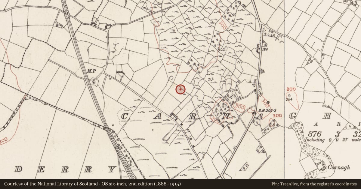 Ordnance Survey six-inch map, 2nd edition (1888–1915) covering the location of Ringfort - cashel, Carnagh East, County Roscommon, with a pin at the register's coordinates