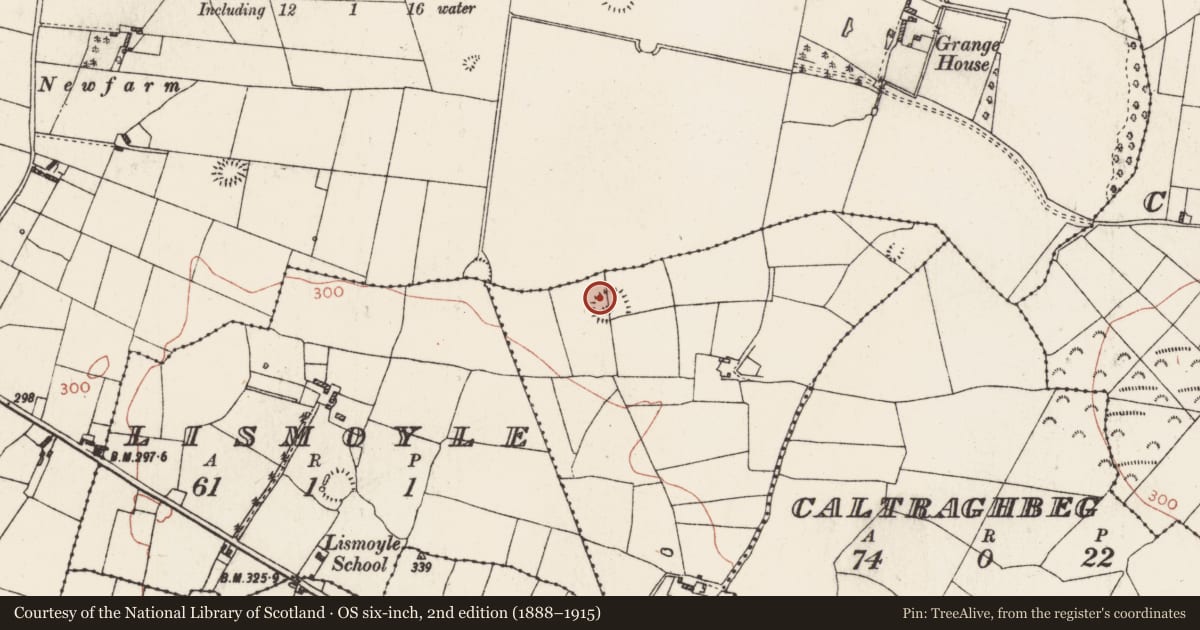 Ordnance Survey six-inch map, 2nd edition (1888–1915) covering the location of Ringfort - rath, Ballylion, County Roscommon, with a pin at the register's coordinates
