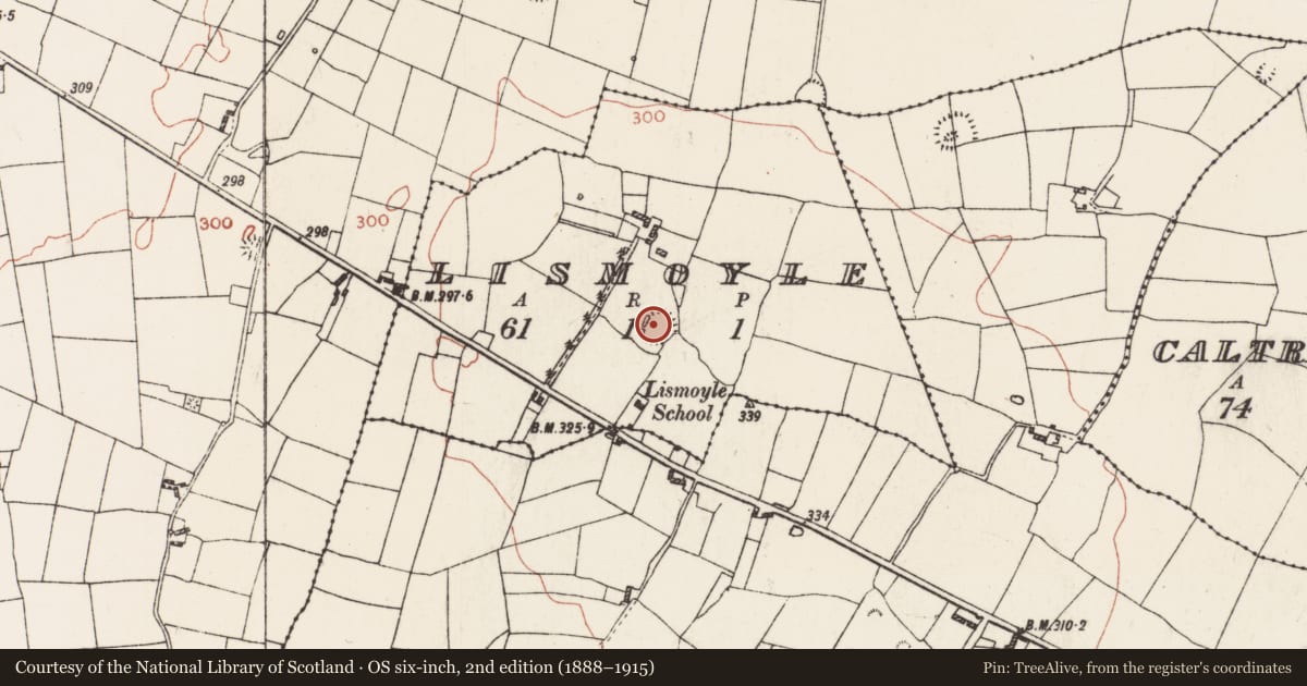 Ordnance Survey six-inch map, 2nd edition (1888–1915) covering the location of Ringfort - rath, Lismoyle, County Roscommon, with a pin at the register's coordinates