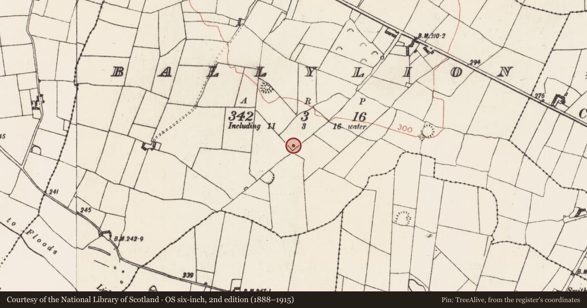 Ordnance Survey six-inch map, 2nd edition (1888–1915) covering the location of Linear earthwork, County Roscommon, with a pin at the register's coordinates