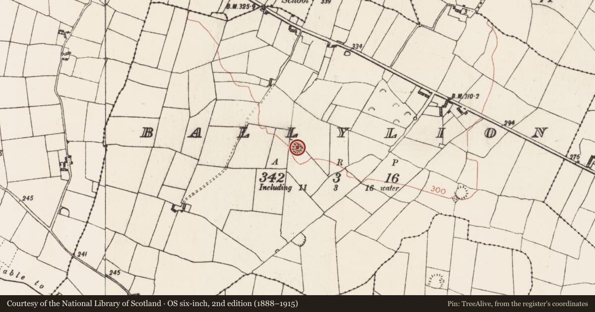 Ordnance Survey six-inch map, 2nd edition (1888–1915) covering the location of Barrow - mound barrow, Ballylion, County Roscommon, with a pin at the register's coordinates
