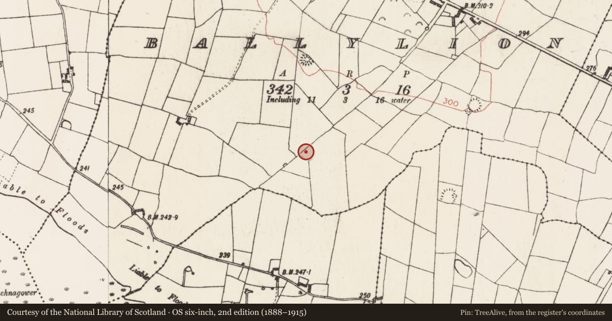 Ordnance Survey six-inch map, 2nd edition (1888–1915) covering the location of Ringfort - rath, Ballylion, County Roscommon, with a pin at the register's coordinates