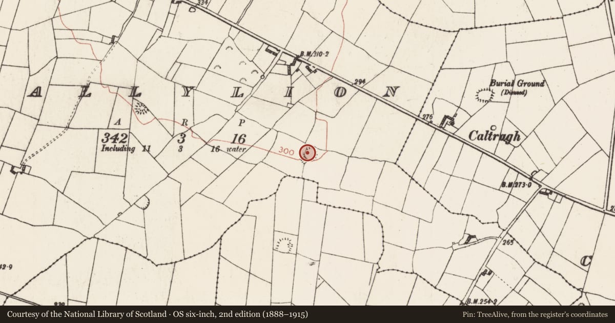 Ordnance Survey six-inch map, 2nd edition (1888–1915) covering the location of Ringfort - rath, Ballylion, County Roscommon, with a pin at the register's coordinates