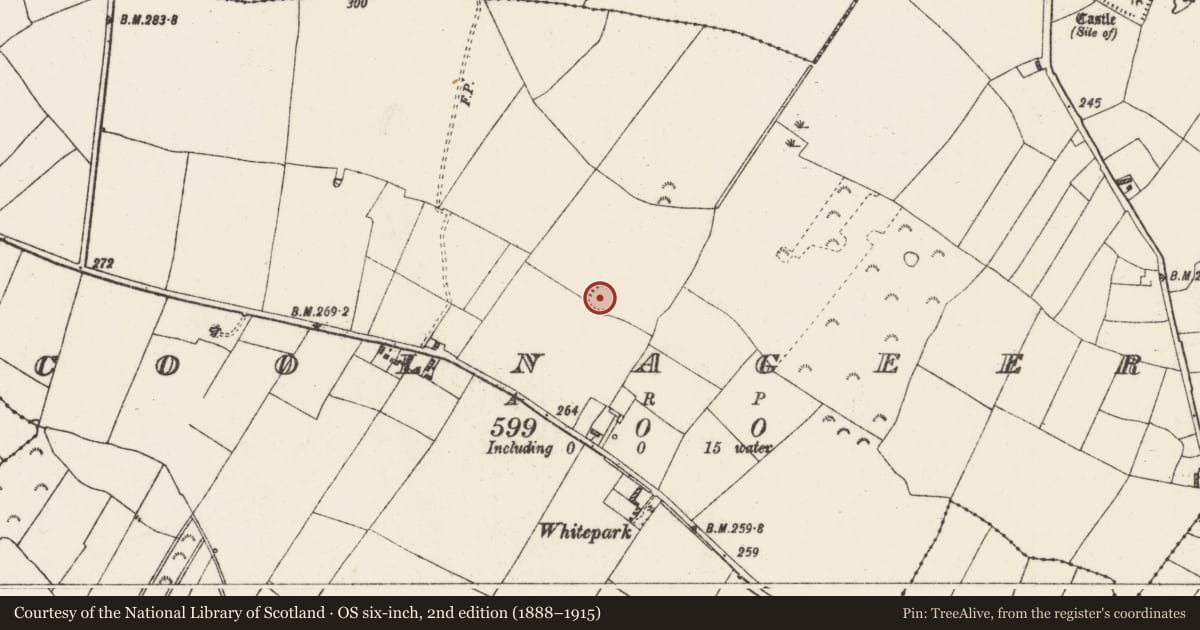 Ordnance Survey six-inch map, 2nd edition (1888–1915) covering the location of Ringfort - rath, Coolnageer, County Roscommon, with a pin at the register's coordinates