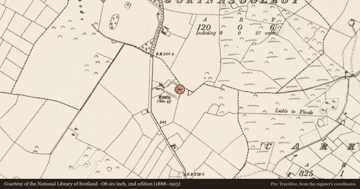 Ordnance Survey six-inch map, 2nd edition (1888–1915) covering the location of Castle - unclassified, Coolnageer, County Roscommon, with a pin at the register's coordinates