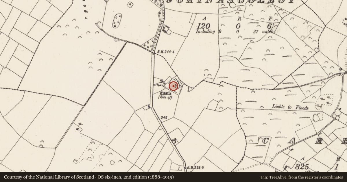 Ordnance Survey six-inch map, 2nd edition (1888–1915) covering the location of Moated site, Coolnageer, County Roscommon, with a pin at the register's coordinates