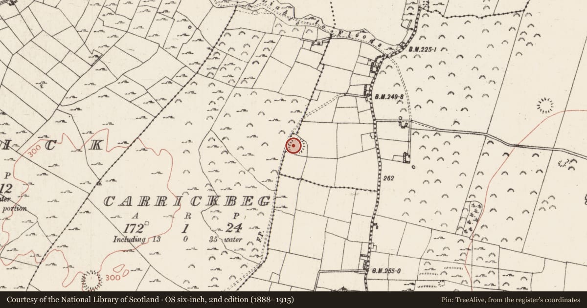 Ordnance Survey six-inch map, 2nd edition (1888–1915) covering the location of Ringfort - rath, Inchiroe And Gortfree, County Roscommon, with a pin at the register's coordinates