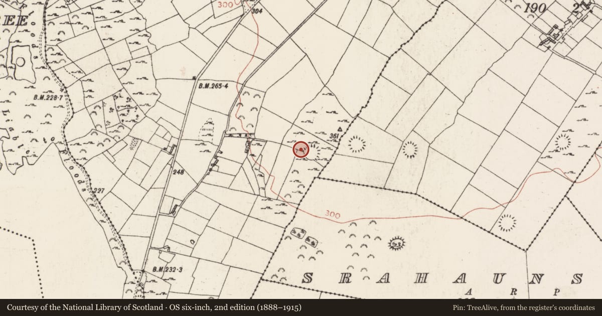 Ordnance Survey six-inch map, 2nd edition (1888–1915) covering the location of House - indeterminate date, Lisfelim, County Roscommon, with a pin at the register's coordinates