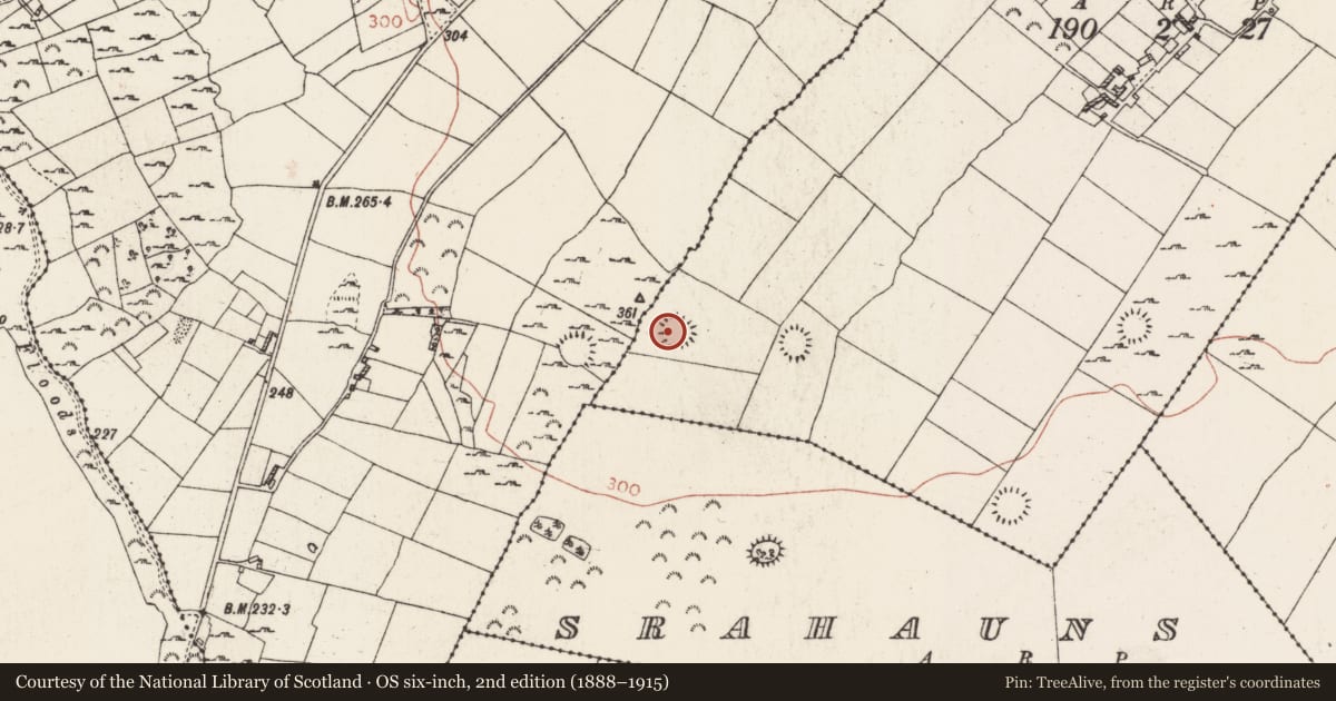 Ordnance Survey six-inch map, 2nd edition (1888–1915) covering the location of Ringfort - rath, Cartron, County Roscommon, with a pin at the register's coordinates