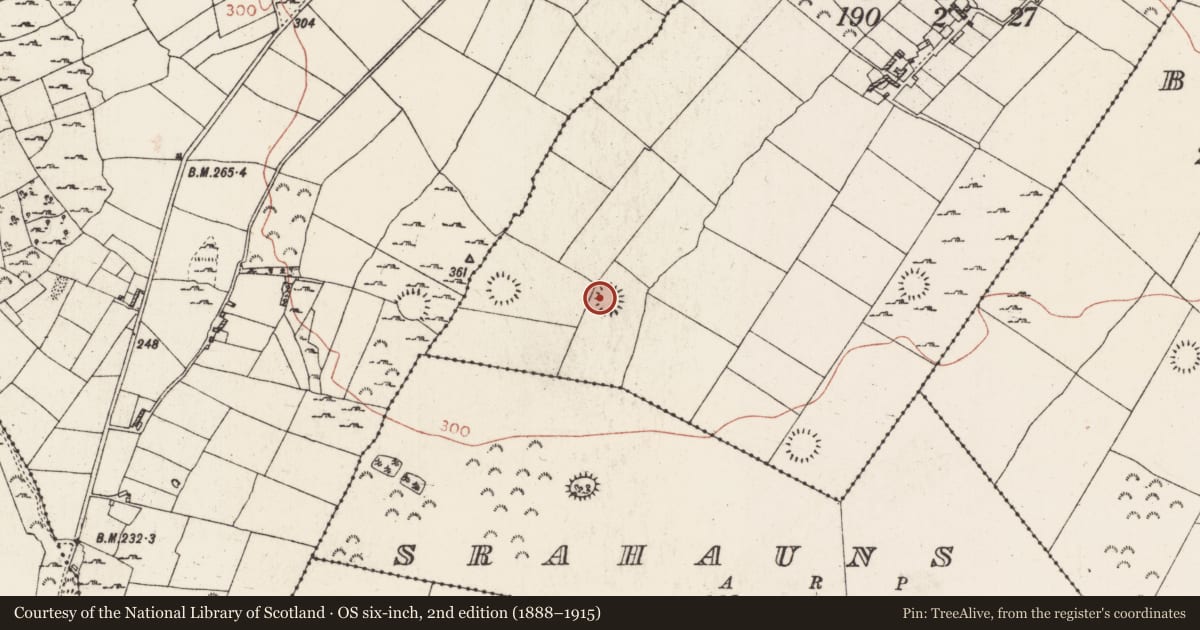 Ordnance Survey six-inch map, 2nd edition (1888–1915) covering the location of Ringfort - rath, Cartron, County Roscommon, with a pin at the register's coordinates