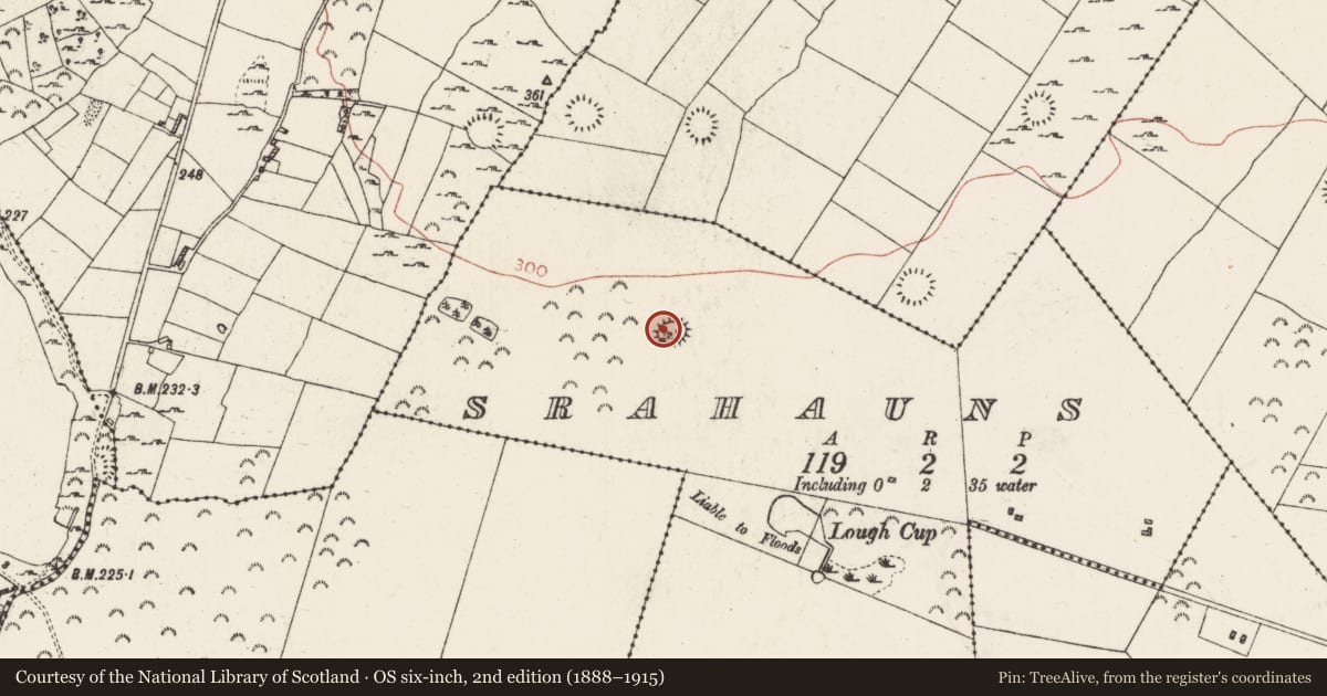 Ordnance Survey six-inch map, 2nd edition (1888–1915) covering the location of Ringfort - rath, Srahauns, County Roscommon, with a pin at the register's coordinates