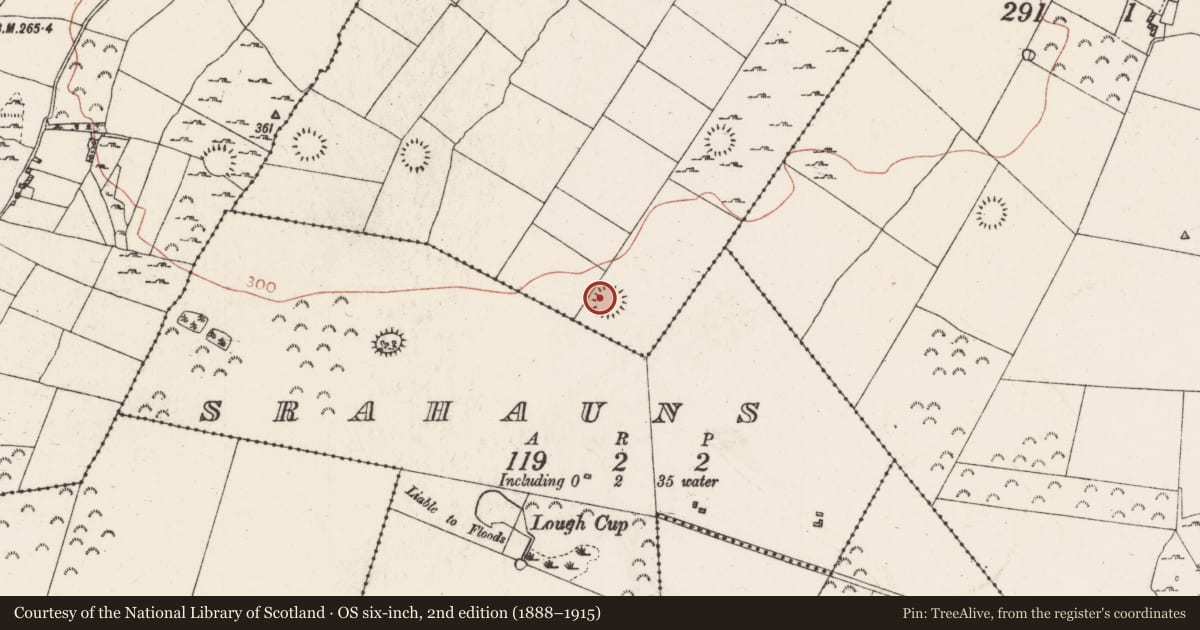 Ordnance Survey six-inch map, 2nd edition (1888–1915) covering the location of Ringfort - rath, Cartron, County Roscommon, with a pin at the register's coordinates