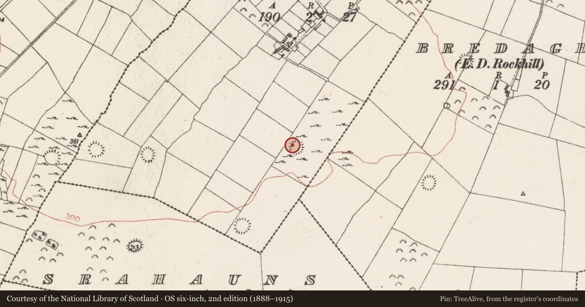 Ordnance Survey six-inch map, 2nd edition (1888–1915) covering the location of Ringfort - rath, Cartron, County Roscommon, with a pin at the register's coordinates