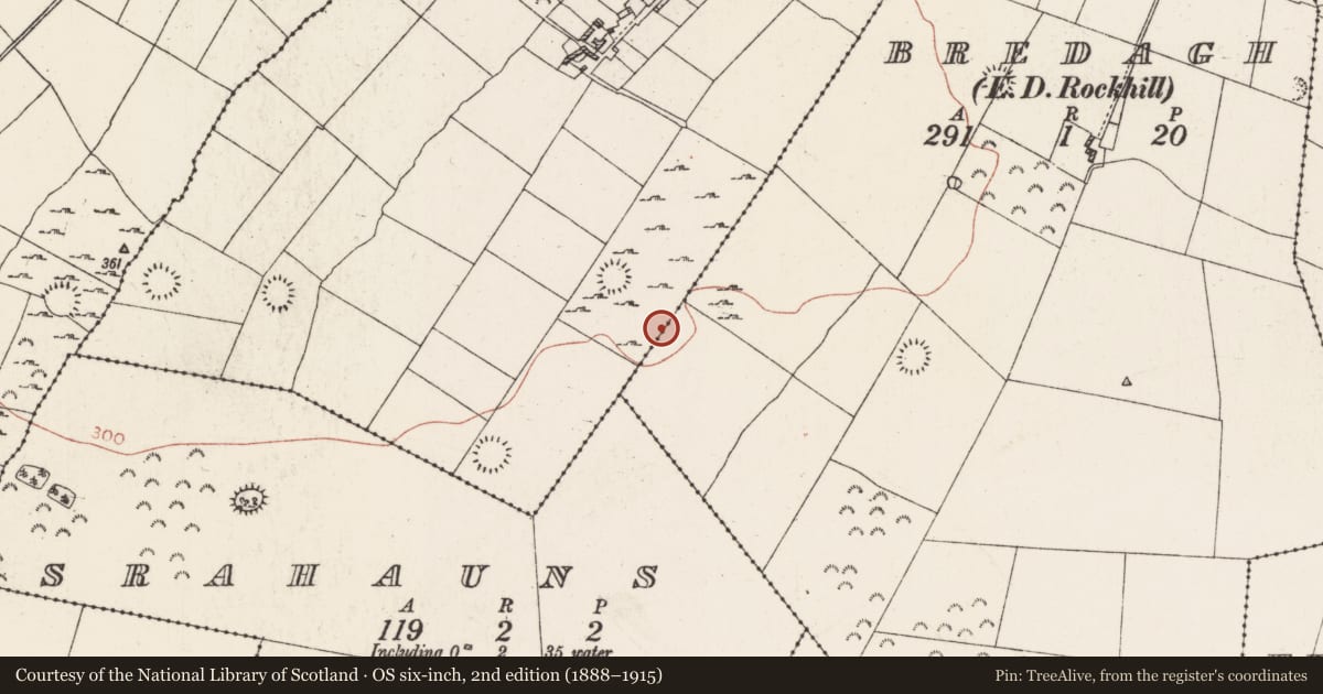 Ordnance Survey six-inch map, 2nd edition (1888–1915) covering the location of Ringfort - rath, Bredagh, Cartron, County Roscommon, with a pin at the register's coordinates