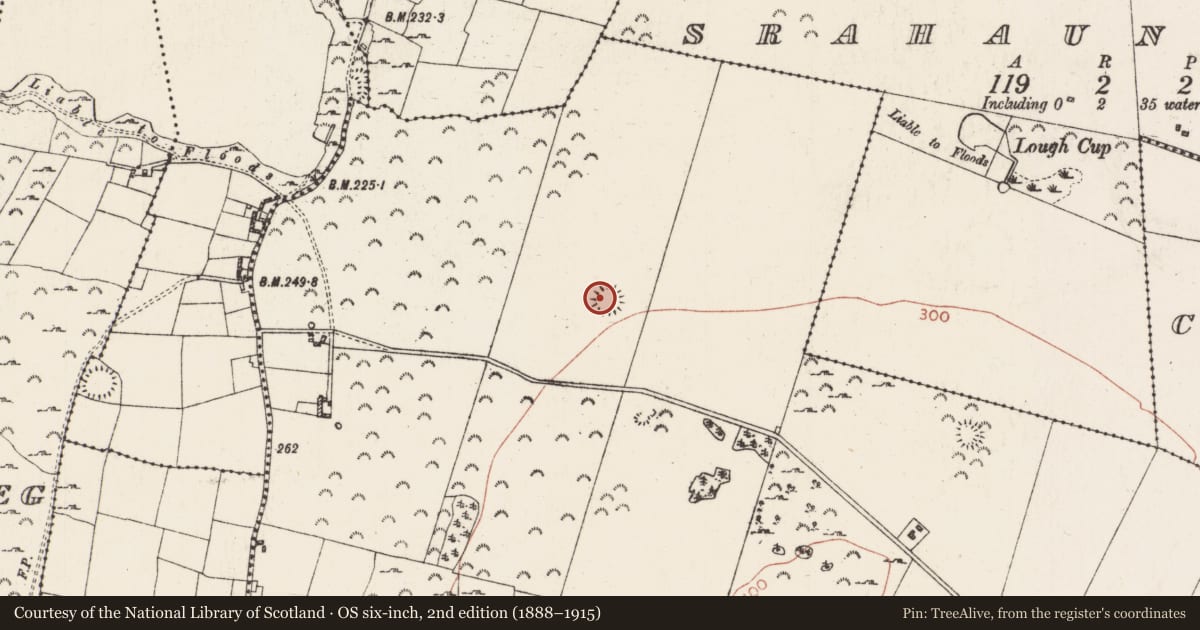 Ordnance Survey six-inch map, 2nd edition (1888–1915) covering the location of Ringfort - rath, Ardmullan, County Roscommon, with a pin at the register's coordinates