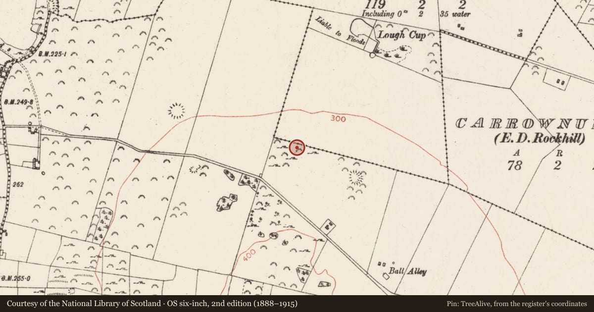 Ordnance Survey six-inch map, 2nd edition (1888–1915) covering the location of Earthwork, Ardmullan, County Roscommon, with a pin at the register's coordinates