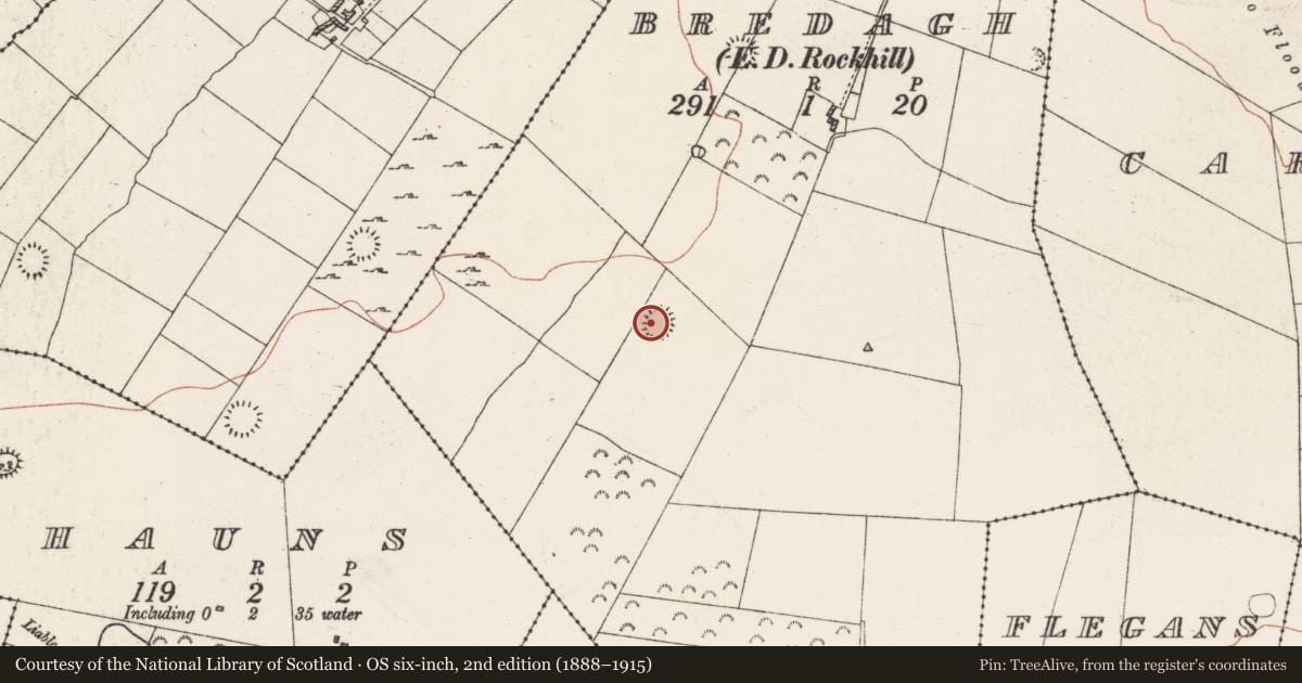 Ordnance Survey six-inch map, 2nd edition (1888–1915) covering the location of Ringfort - rath, Bredagh, County Roscommon, with a pin at the register's coordinates